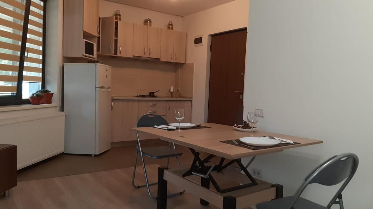 Casa Sara Apartment Bucharest Exterior photo